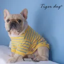 Yellow Blue Stripe A
