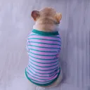 Pink Green Stripe