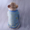 Blue Yellow Stripe