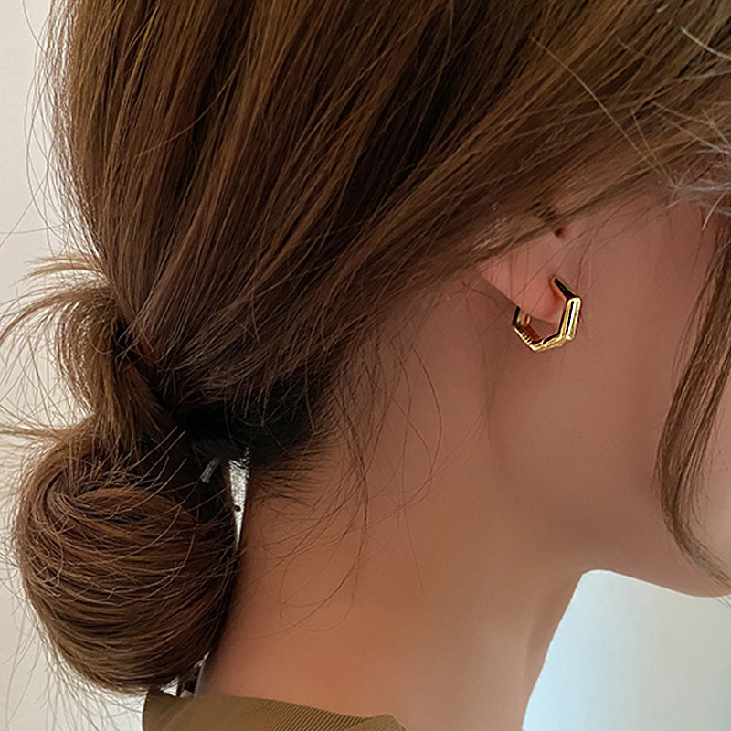 Geometric Earrings Gold Wild Earrings Cold Wind