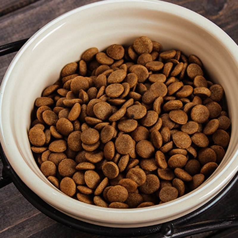 وعاء سيراميكي حديدي للرف للحيوانات الأليفة - وعاء مزدوج الاستخدام للماء والطعام