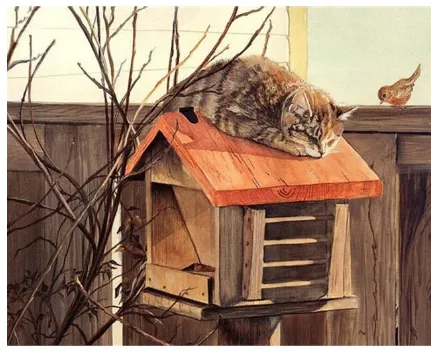 At On A Bird House DIY Painting By Numbers Kit 60X75Cm - Shop at LoveMi