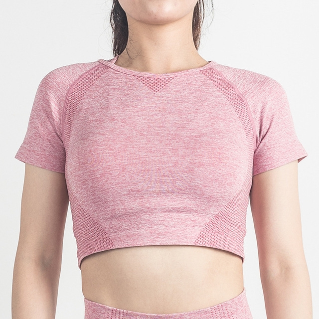 Title 21, Nahtloses Yoga-Top Damen Langarm Fitness Crop T...