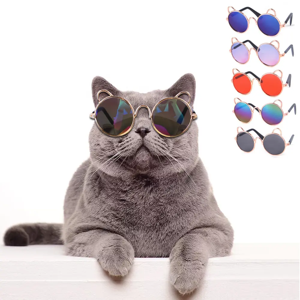 Cat Cute Sunglasses Dog Teddy