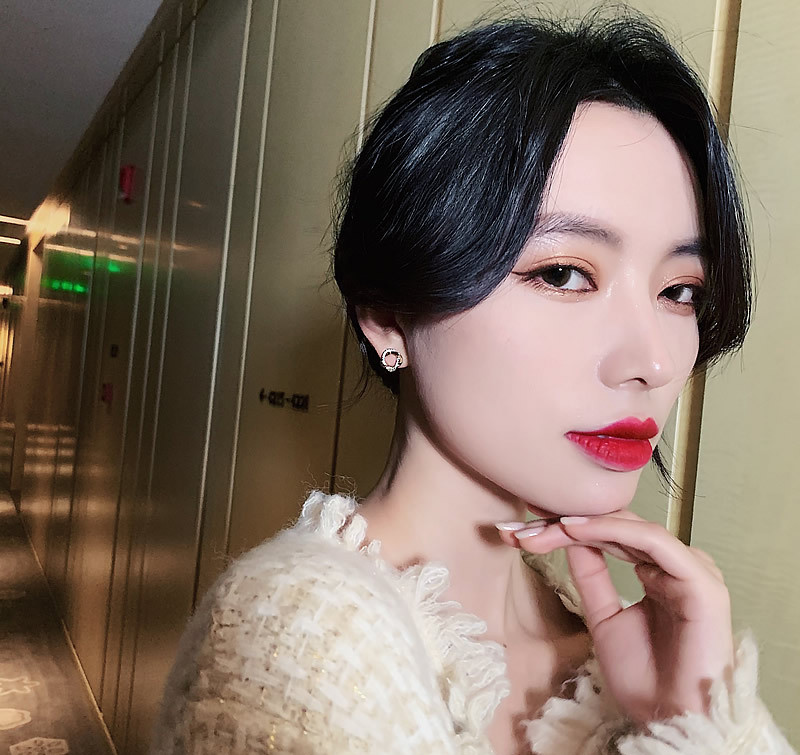 Fashion Temperament Female Net Red Korean Earrings