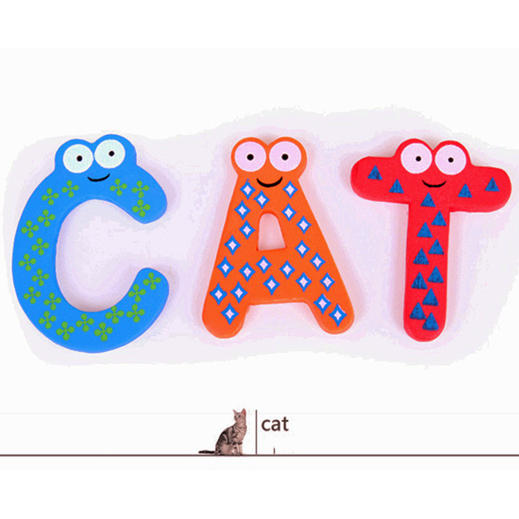 Educational Fridge Magnet