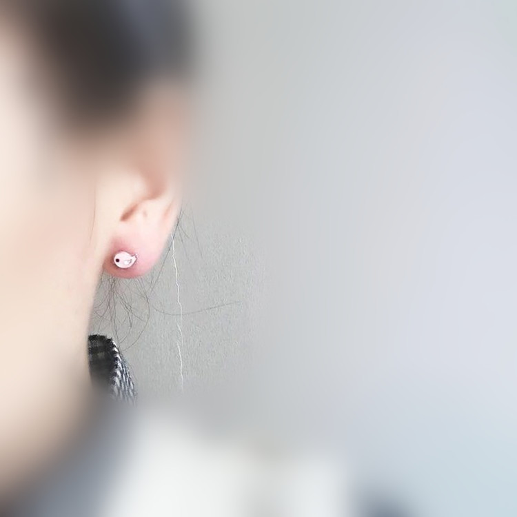 Woman Silver Bird Animal Simple Earrings