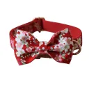 Bow Dog Pen
