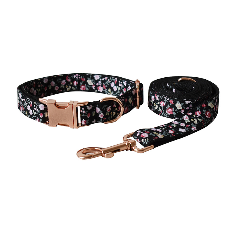 Dog leash set