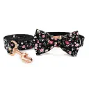 Bow Set