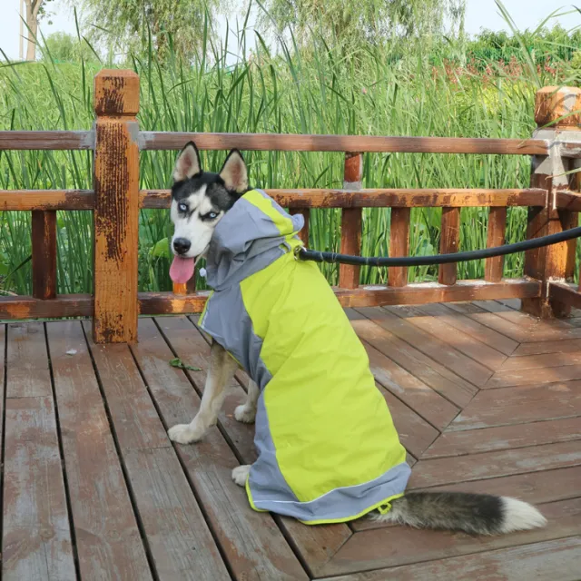 Color Block Cloak Big Dog Raincoat Outdoor Breathable Dog Jacket Green - Shop at LoveMi
