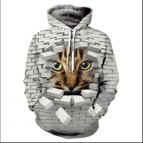 Title 2, 3D-Digitaldruck-Herrenpullover mit Kapuze