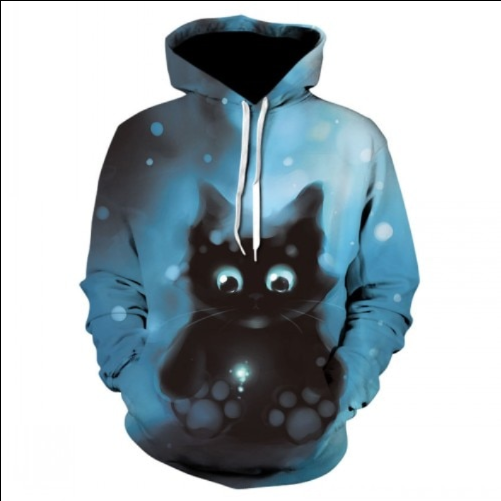 3D Digital Printing Men's Sweater With Hood