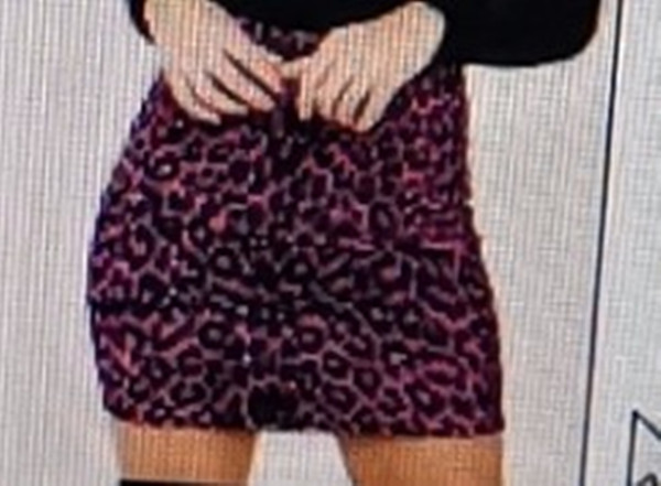 Leopard Print High Waist Bag Hip Skirt