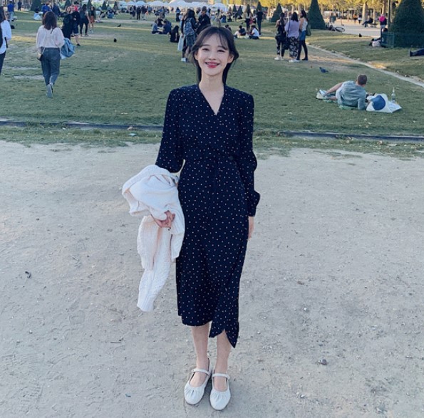 Wave Dot V-neck Chiffon Long Sleeve Dress