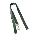 Dog Rope