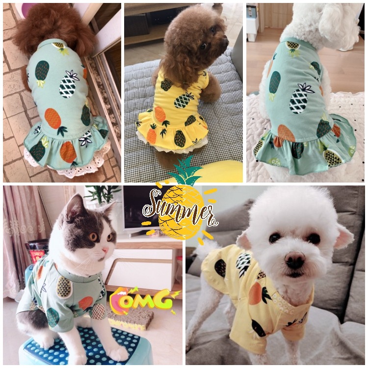 Summer Thin Pet Skirt Dog Clothes Teddy Hiromi Bichon Small Dog Princess Skirt T-shirt Cat Clothes