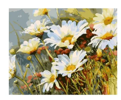 Daisy Flower-DIY Digital Painting Kit