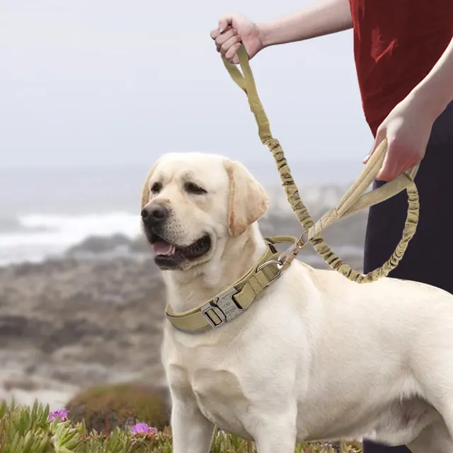 Nylon Dog Collars Large and Medium-sized Dogs Pet