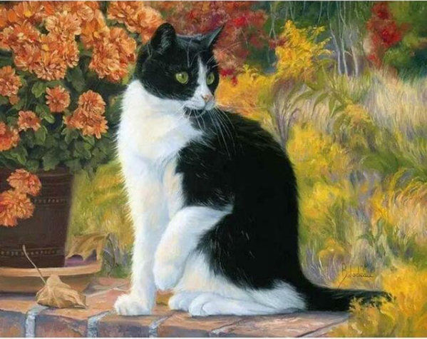Cute Cat DIY Digital Painting Kit Black - Shop at LoveMi