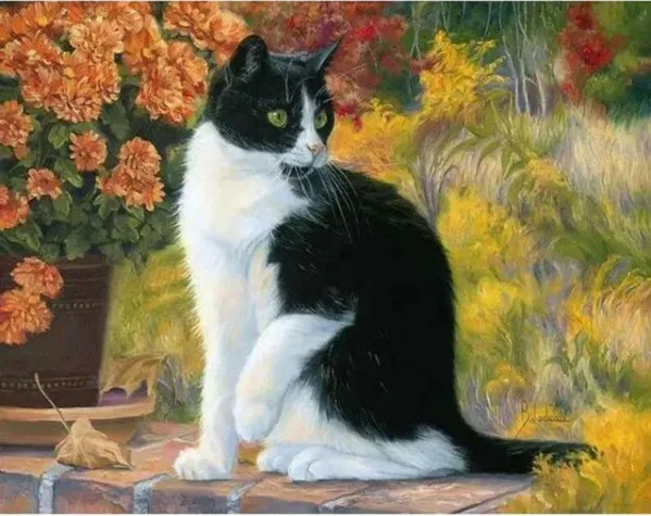 Cute Cat DIY Digital Painting Kit Black - Shop at LoveMi