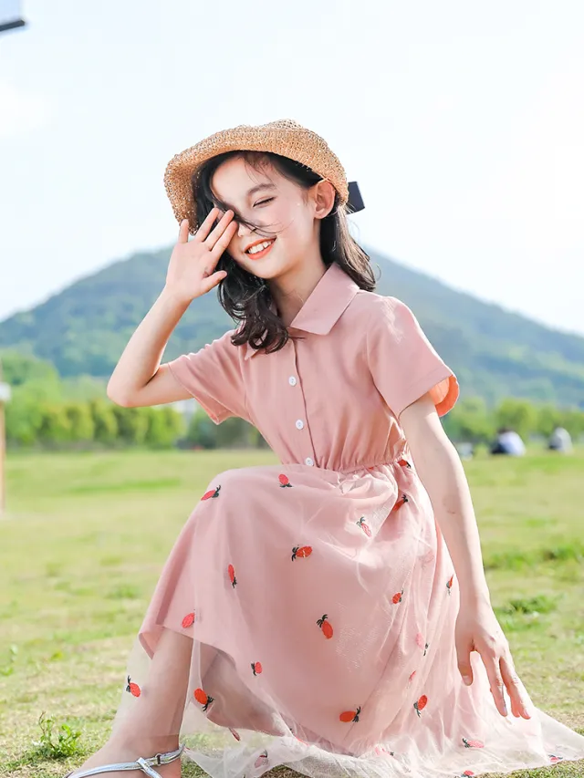 Big Kids Children's Skirt Summer Net Red Little Girl Princess Dress Pink - Shop at LoveMi
