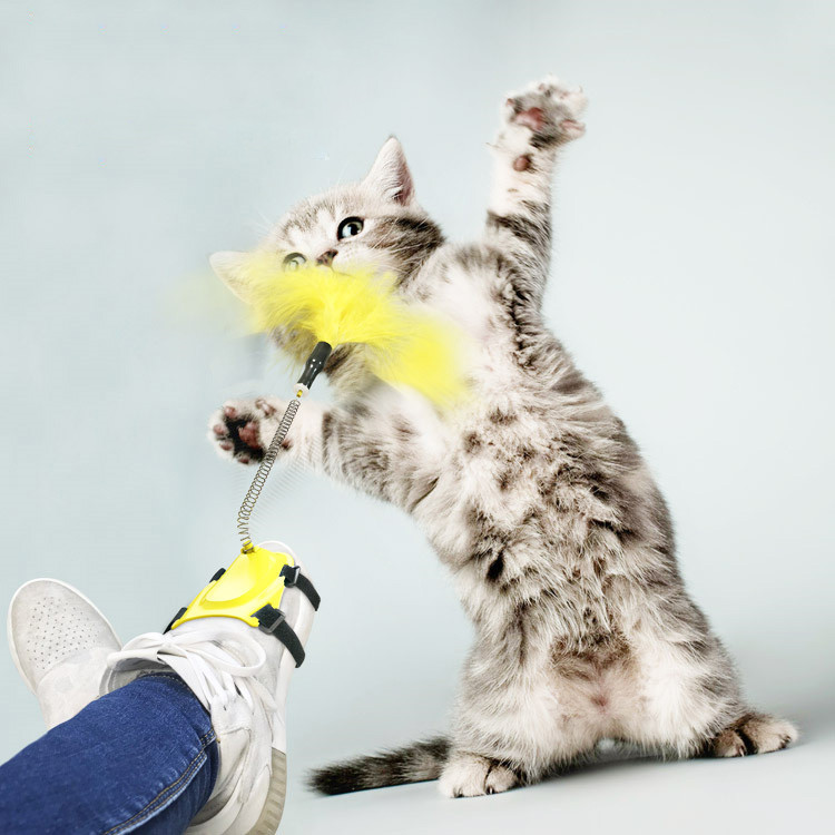 Feet funny cat stick yellow