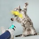 Foot Funny Cat Stick Blue