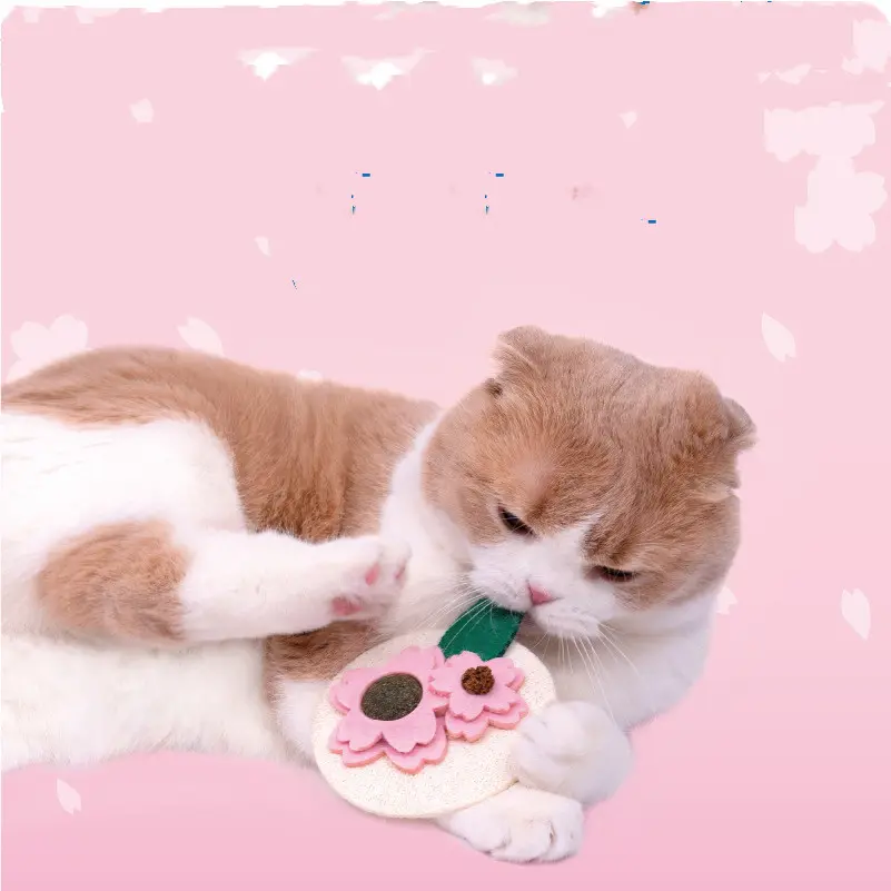 Sakura Fruit Cat Mutian Polygonum Teething Stick