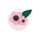 Cherry Blossoms