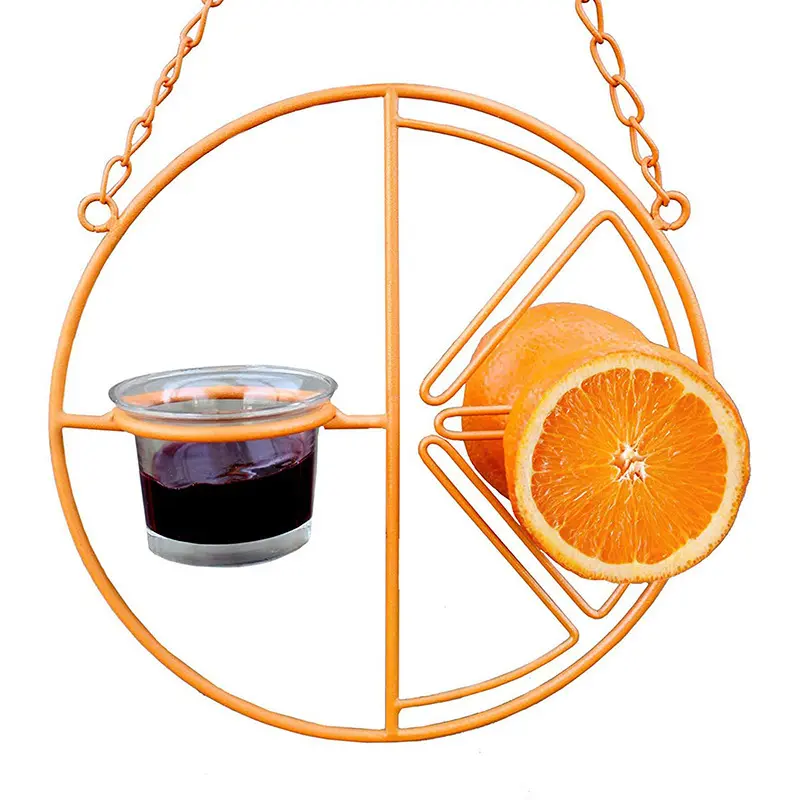 Oriole Bird Feeder Orange Fruit Outdoor Garden