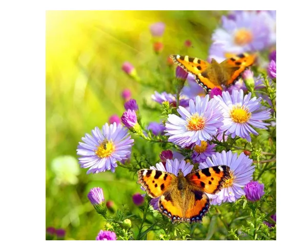 5D Embroidery Landscape Theme Diamond Painting Square - Shop at LoveMi