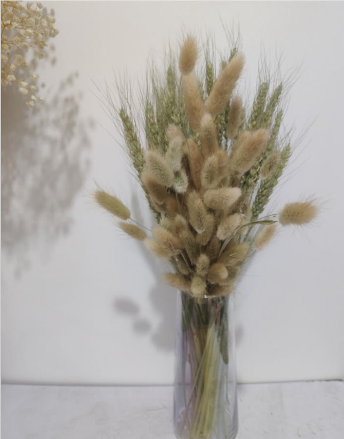 Light Color Wedding Bouquet Natural Dried Pampas Reed Flower Reed Decoration — foto 8