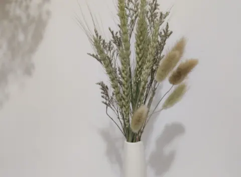 Light Color Wedding Bouquet Natural Dried Pampas Reed Flower