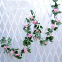 16Pink Flowers