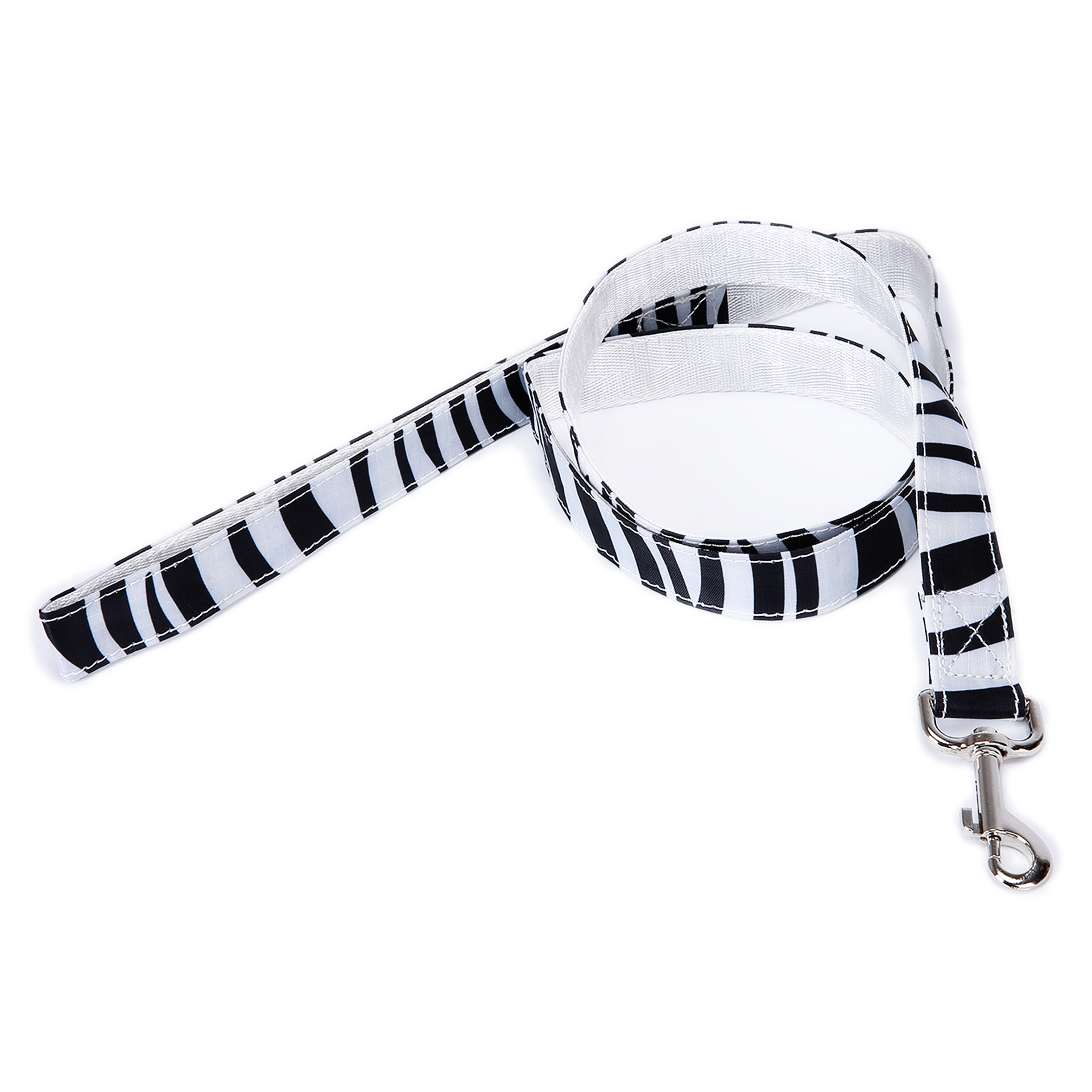 Black and white zebra