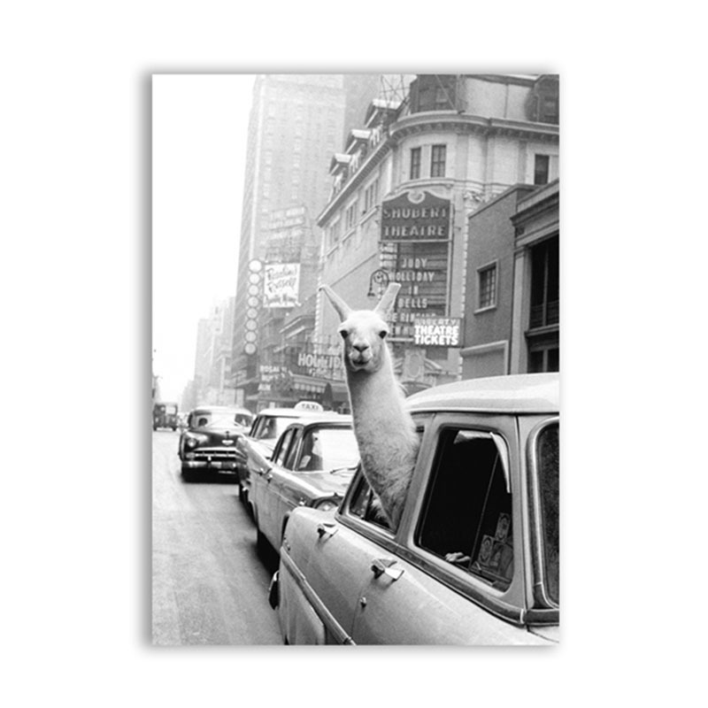 Animal Llama Vintage Wall Art Canvas Painting