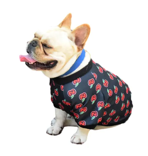 Spring and Autumn Teddy Dog Clothing Custom Dog Pet