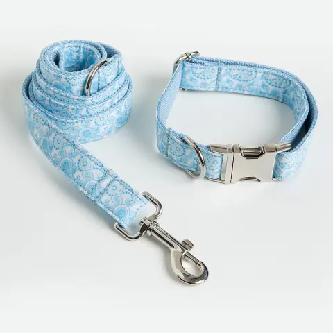 Paisley Pet Collar Leash Set Dog Bow