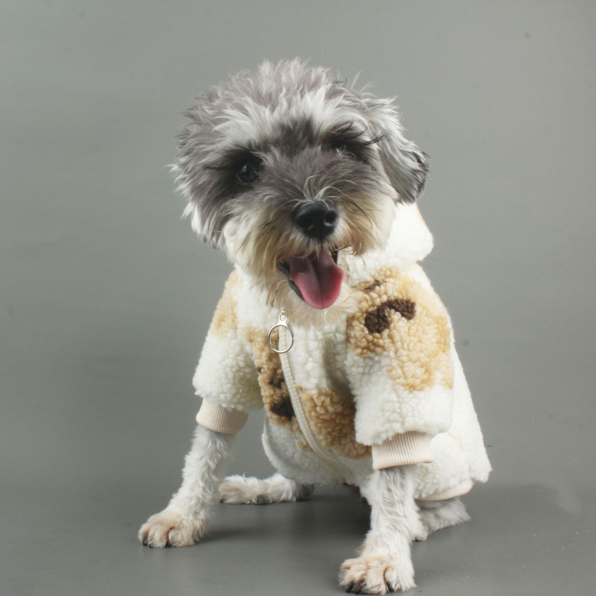 Autumn And Winter Dog Lamb Cashmere Bear Coat