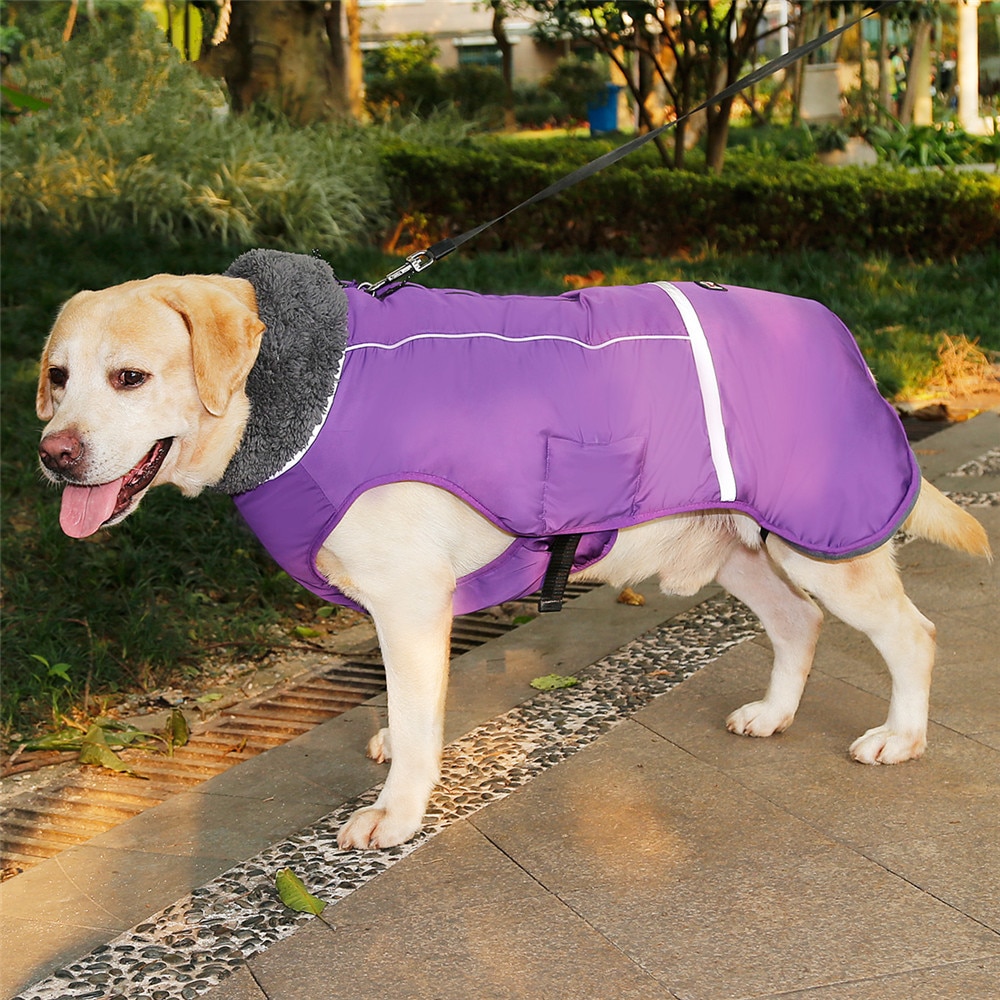 Title 23, Honden kleding dikke warme vest voor de winter....