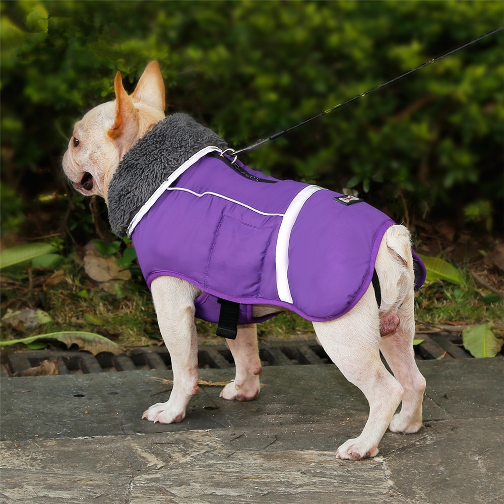 Title 22, Honden kleding dikke warme vest voor de winter....