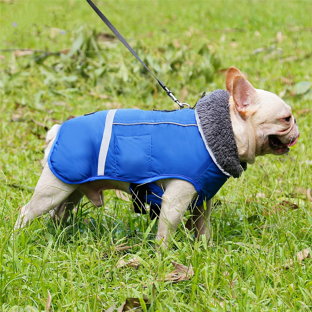 Title 19, Honden kleding dikke warme vest voor de winter....