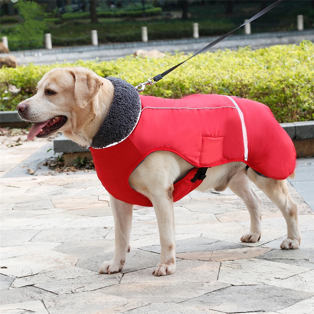 Title 18, Honden kleding dikke warme vest voor de winter....