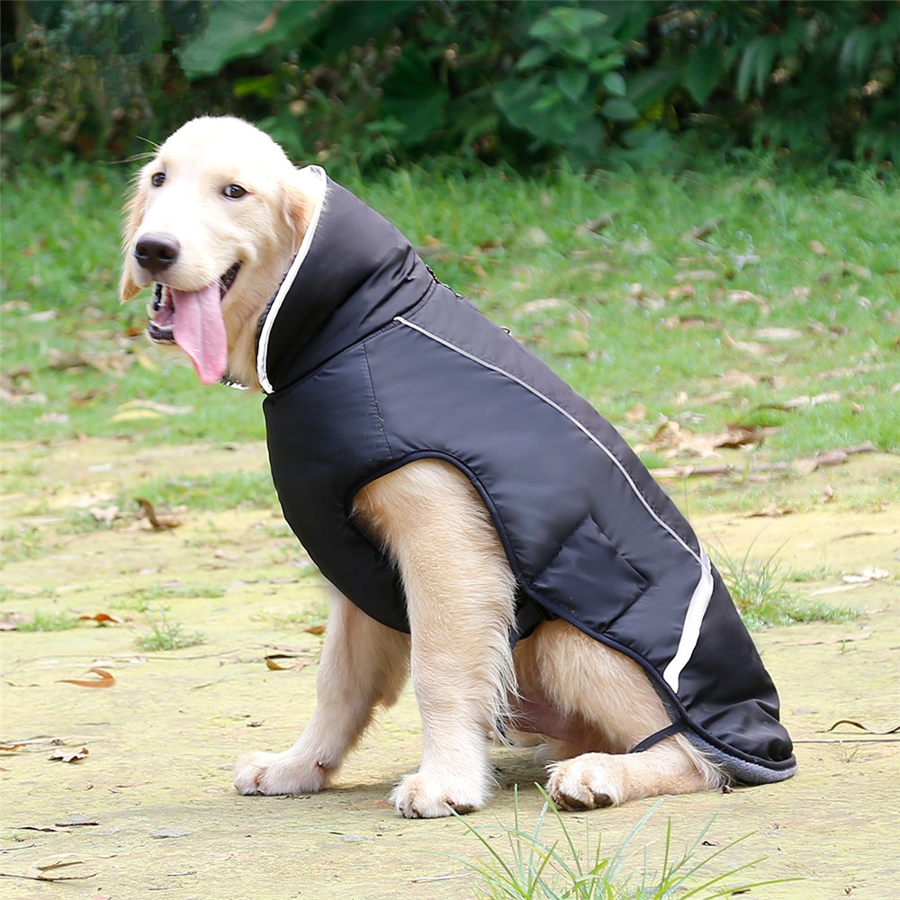 Title 16, Honden kleding dikke warme vest voor de winter....