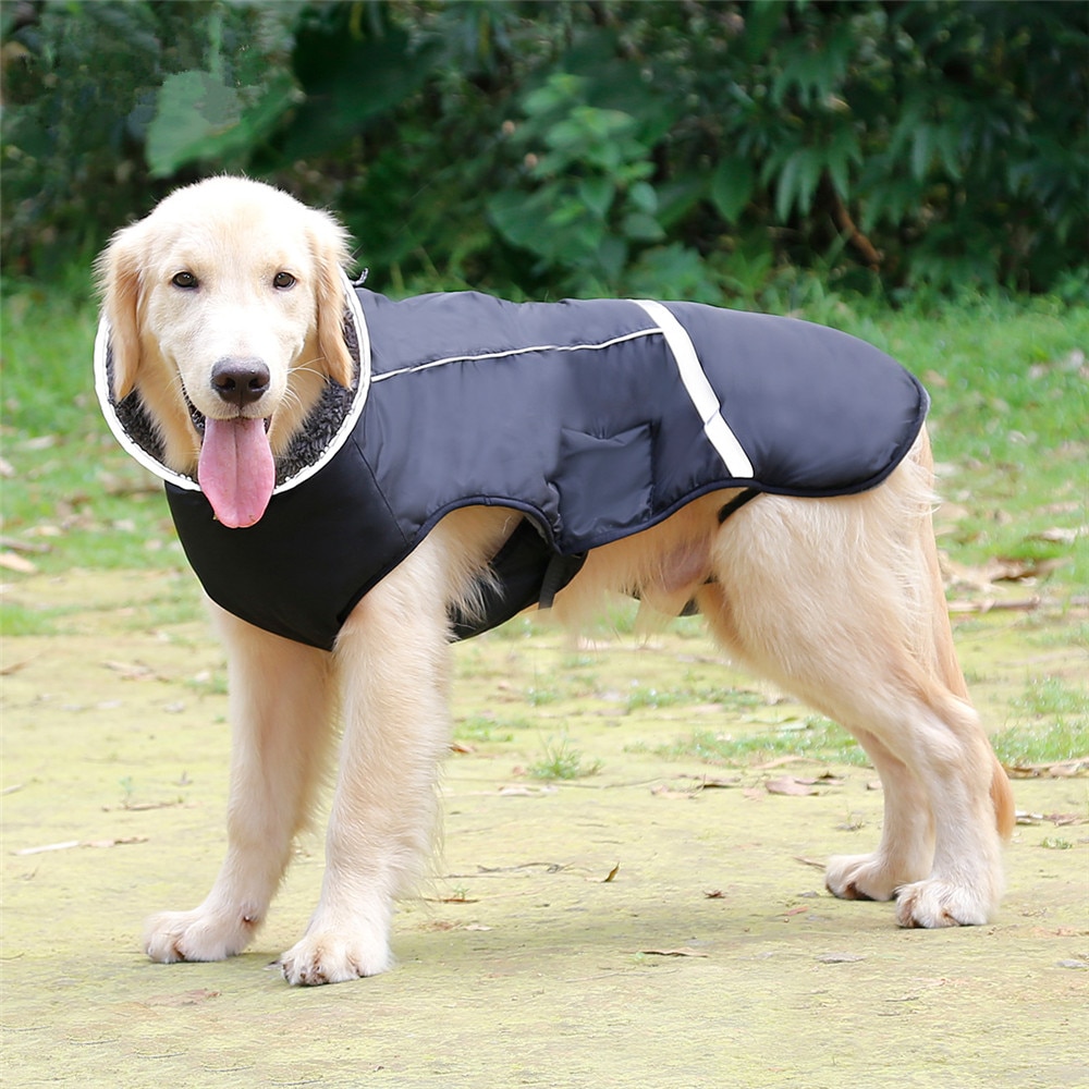 Title 15, Honden kleding dikke warme vest voor de winter....