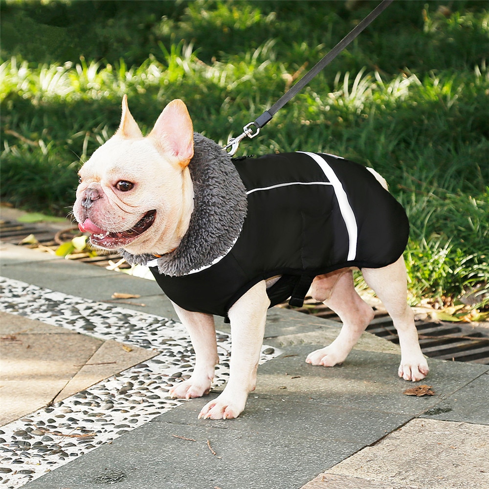 Title 13, Honden kleding dikke warme vest voor de winter....