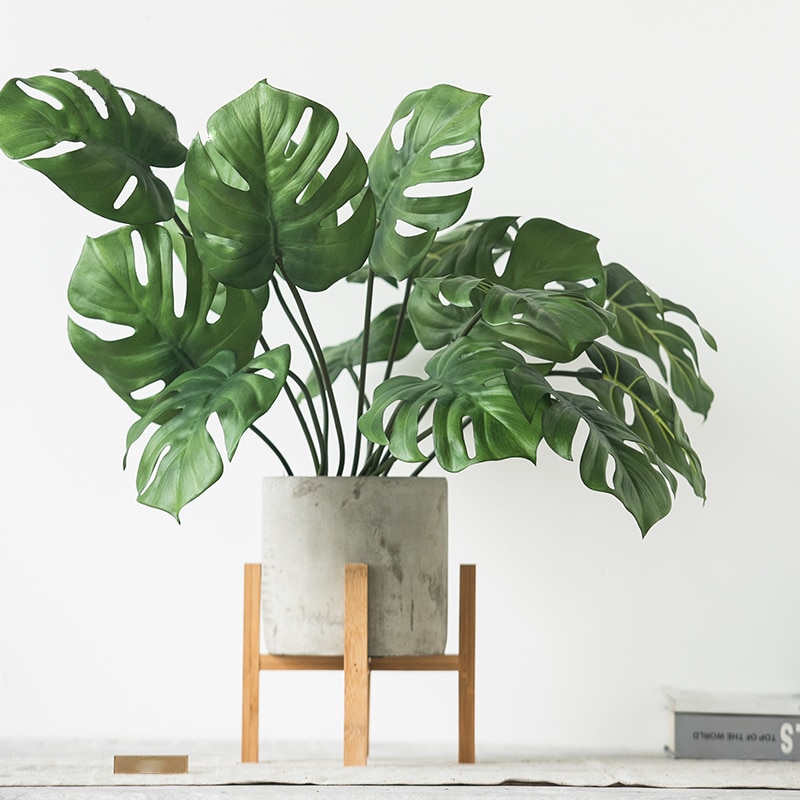 Title 1, Realistische Monstera simulatieplant voor een g...