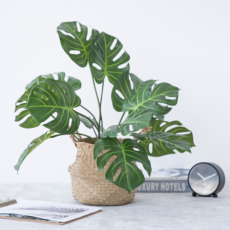 Title 2, Realistische Monstera simulatieplant voor een g...