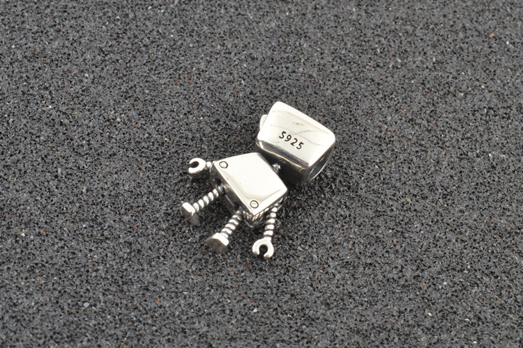 Title 1, Sterling Silver Charm